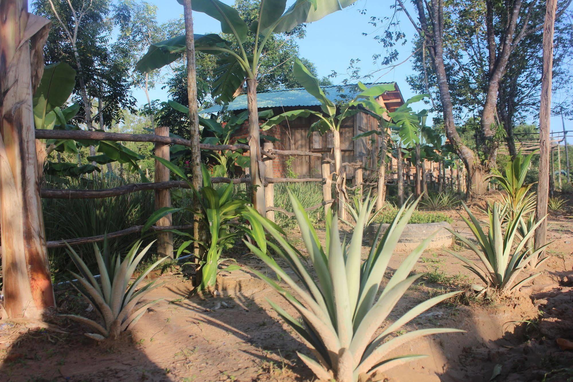 Pepper Farm Phu Quoc Hotel Exterior foto